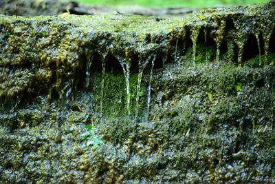 DSC_2762 (Large).JPG